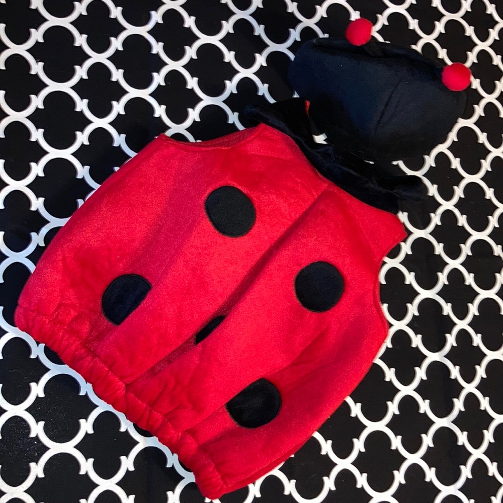 🎃 2 Piece Infant Ladybug Costume ~ fits up to 24 months ~